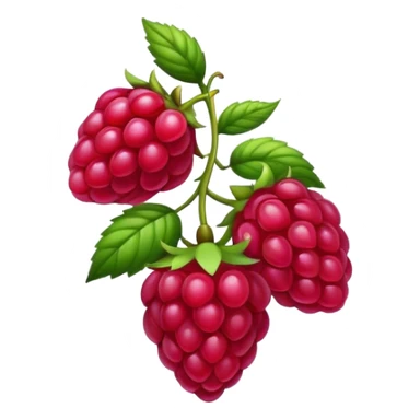 framboise  sticker