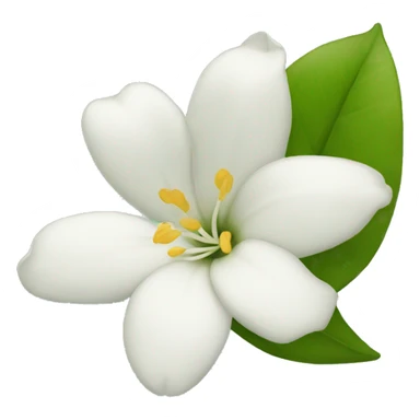 Night Jasmine flower sticker