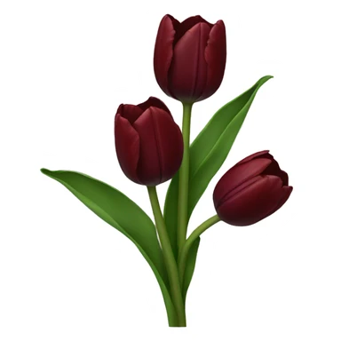 Dark red tulip sticker