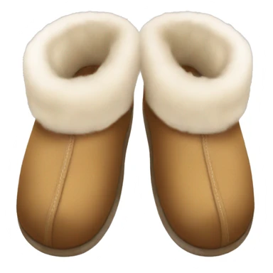 UGG slippers  sticker
