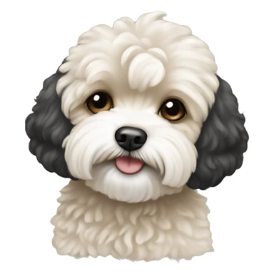 Black white and beige maltipoo sticker
