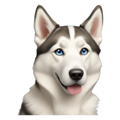 Yellow and white husky and shepherd mix dog blue eyes sticker