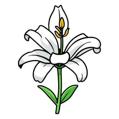 pure white lily flower in bloom sticker