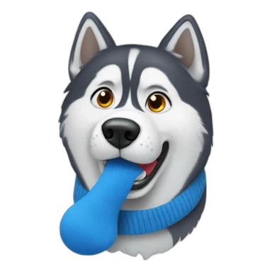 Confused husky with blue sock in his mouth sticker
