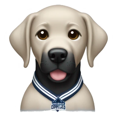 A black lab in Dallas cowboys clothes sticker