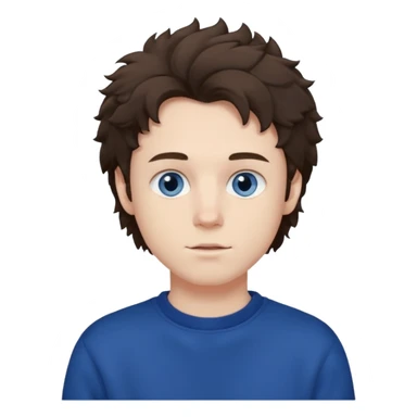 male , blue eyes , pale skin , brunette fluffy hair , dark blue sweatshirt sticker