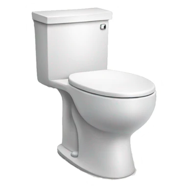 Skidi toilet  sticker