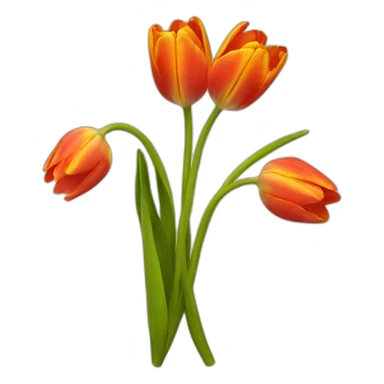 tulipan sticker