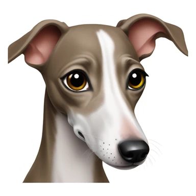 Italian greyhound sticker