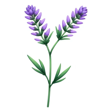 single Lavender flower stem sticker