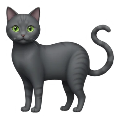 full body view of beautiful female solid dark grey cat with green eyes, grey face, white toes/paws and small white patch on her chest sticker