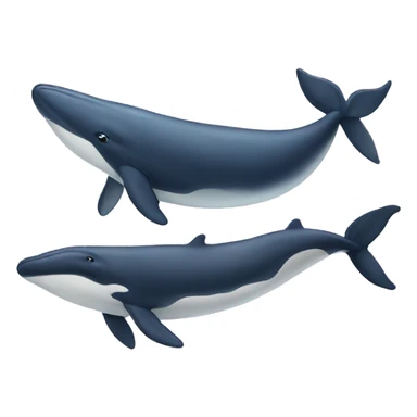 Whales sticker