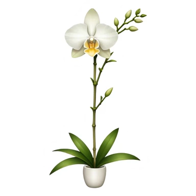 single white Dendrobium Orchid straight stem sticker