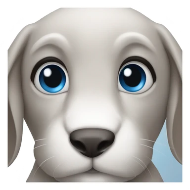 Rabbit blue eyes sticker