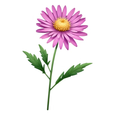 single pink Aster flower, stem sticker