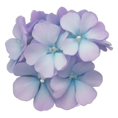 Hortensias sticker