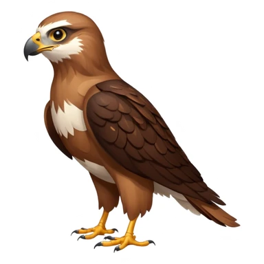 Create a single emoji of a Hawk in full body, shown at a slight side angle in a natural, characteristic pose. Cute and stylized like an emoji, but clearly recognizable.
 sticker