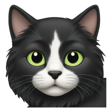 Black long haired cat with light green eyes sticker