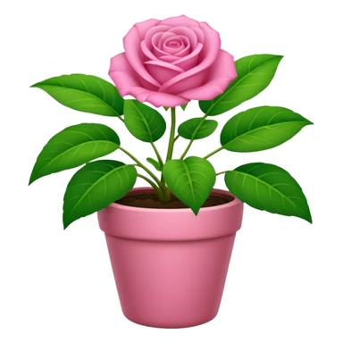Una planta bonita, con su masetá color rosa sticker