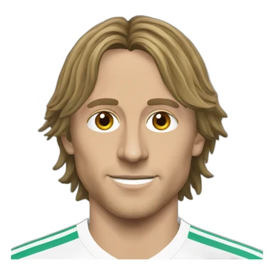Modric sticker
