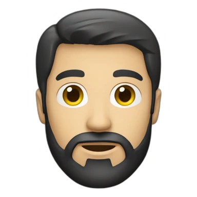 caucasian-developer-with-black-hair-and-beard sticker