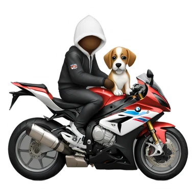 Dog wearing hoodie riding bmw s100 rr sticker