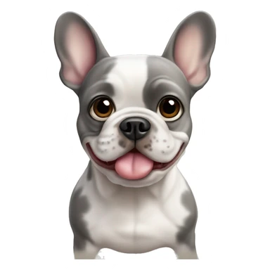 Merle french bulldog sticker