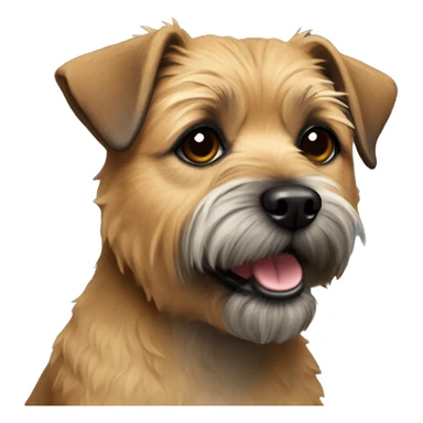 Old border terrier with light hair sticker