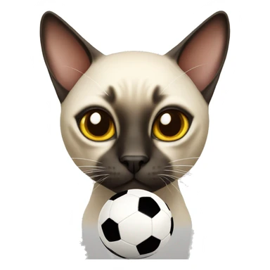 Siamese cat with a soccer ball sticker
