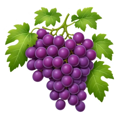 An emoji of a cluster of grapes on a vine, representing winemaking in ancient Rome. sticker