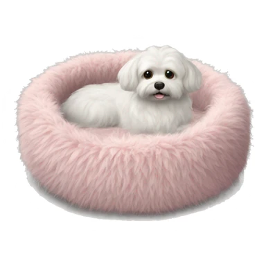 Pet bed fluffy realistic sticker