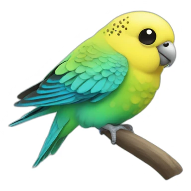 budgerigar fly sticker