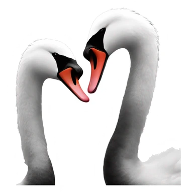 black and white swans kissing sticker
