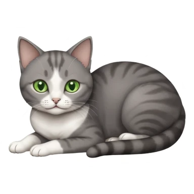 full body tiny short hair dark grey and white cat with white front legs and green  eyes lying down sticker