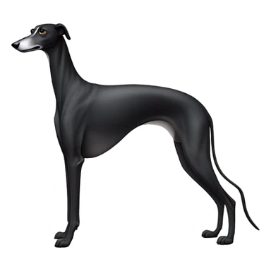 black greyhound white background sticker