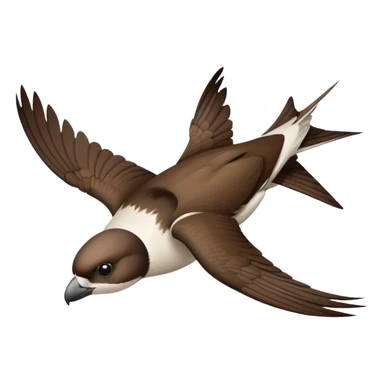 house martin flying sticker