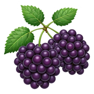 blackberries sticker