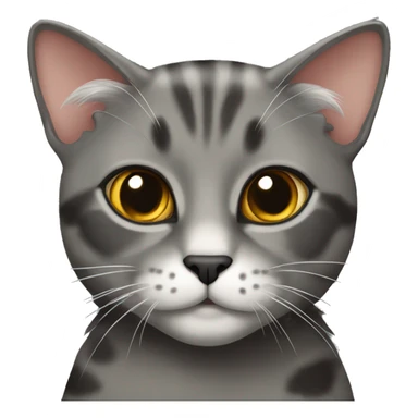 Grey Tortoiseshell cat sticker