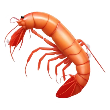 Shrimp in heart Shape sticker