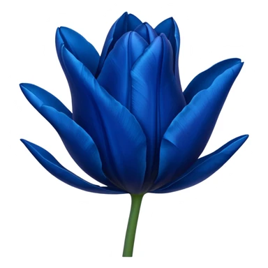 Dark blue tulip sticker
