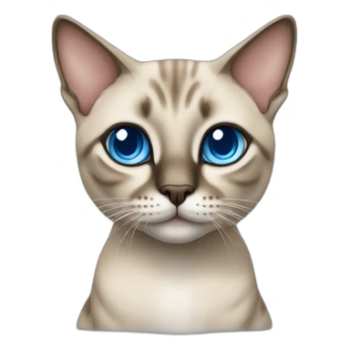 Tabby Siamese cat with blue eyes sitting sticker
