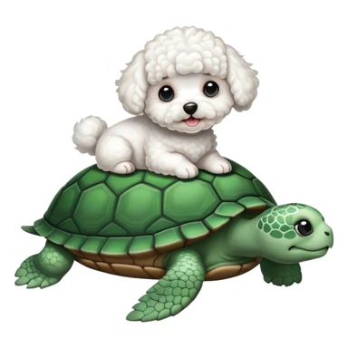 Curly white Bichon sitting on a turtle sticker