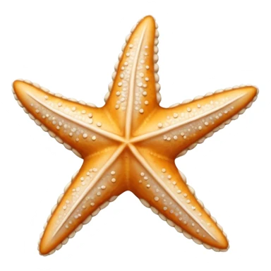 all white dried star fish sticker