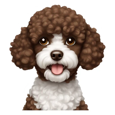 Chocolate brown and white toy poodle sticker
