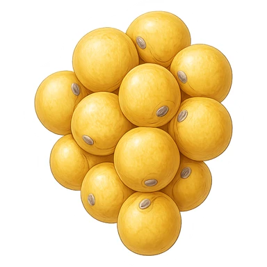 CELLULA DI GRASSO (ADIPOCITA) GIALLA A GRAPPOLO sticker