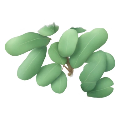A small branch of eucalyptus with soft green tones sticker