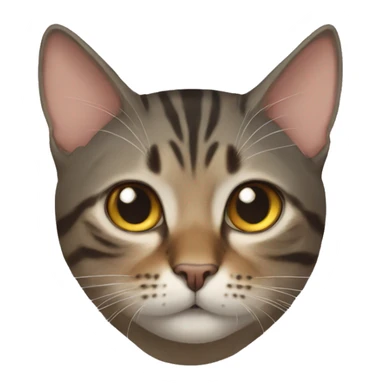 Nepalease cat sticker