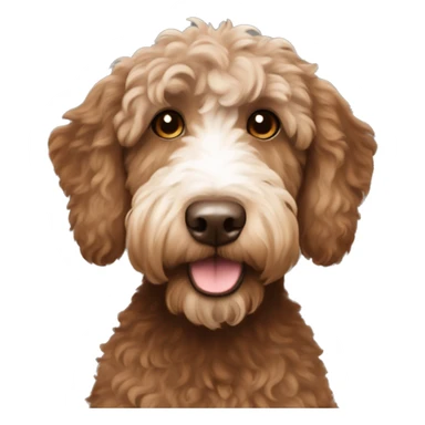 australian labradoodle with a brown body and white face you can seee the full brown body and white face sticker