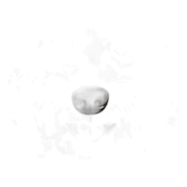 scruffy brown poodle sticker