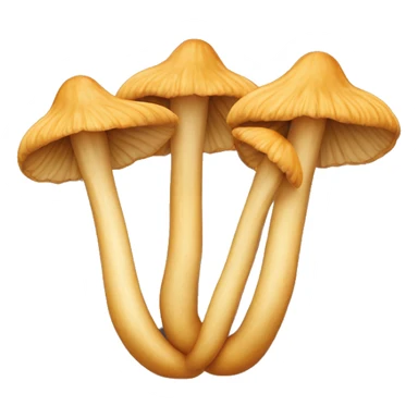 Chanterelles sticker